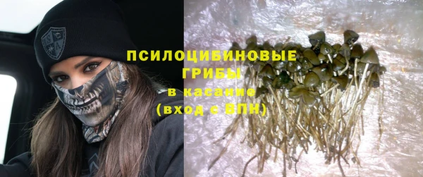 а пвп мука Бородино