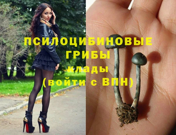 а пвп мука Бородино
