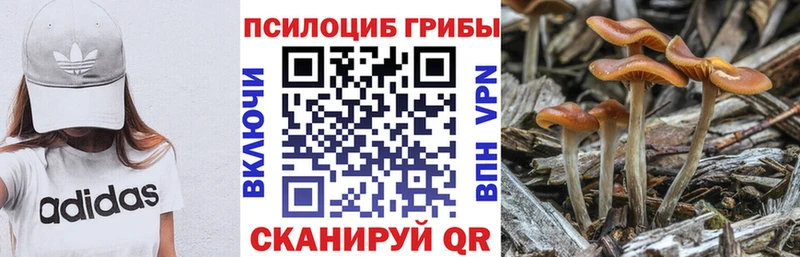 Купить  Бахчисарай  Псилоцибиновые грибы мицелий 